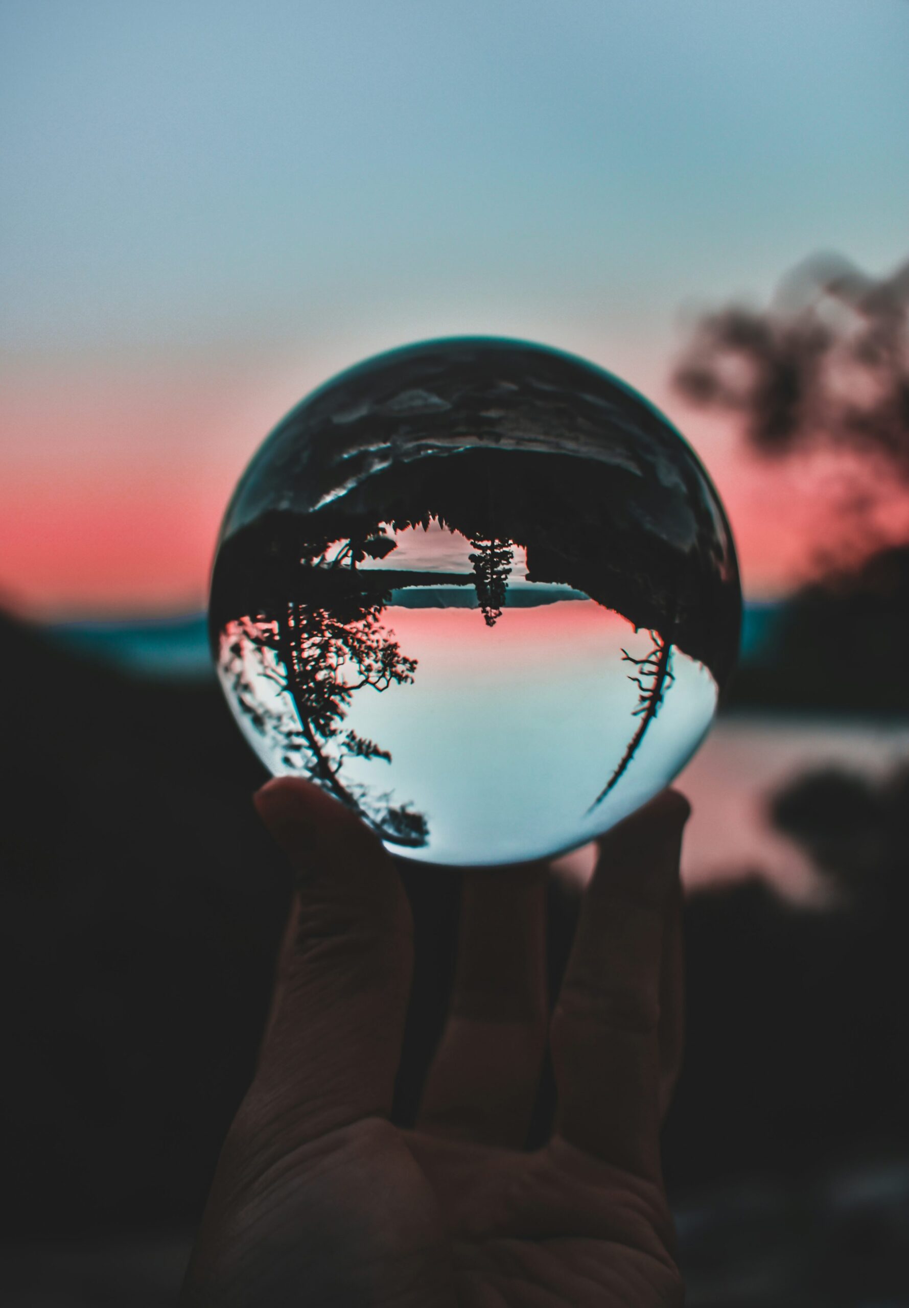 Read more about the article Percepție versus apercepție.